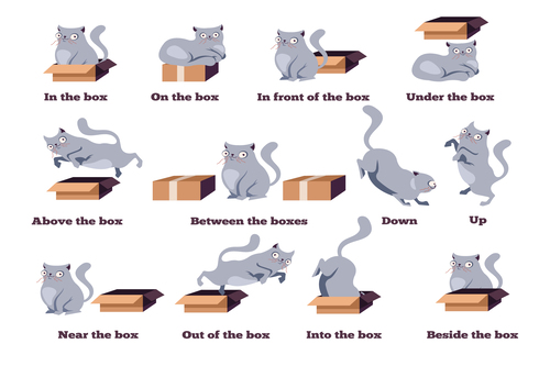 Types Of Prepositions