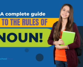 rules of nouns